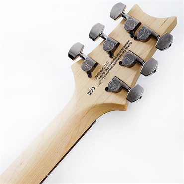 P.R.S. SE Swamp Ash CE 24 Sandblasted Limited Edition (Sandblasted Blue) SN.CTIG036340 【2024年生産品】 画像9