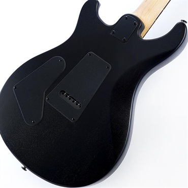 P.R.S. SE Swamp Ash CE 24 Sandblasted Limited Edition (Sandblasted White) SN.CTIG034206 【2024年生産品】 画像7