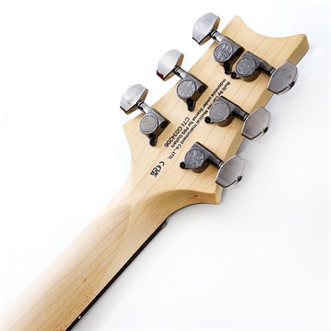 P.R.S. SE Swamp Ash CE 24 Sandblasted Limited Edition (Sandblasted White) SN.CTIG034206 【2024年生産品】 画像9