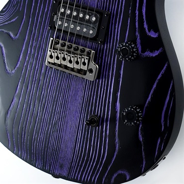 P.R.S. SE Swamp Ash CE 24 Sandblasted Limited Edition (Sandblasted Purple) SN.CTIG034202 【2024年生産品】 画像4