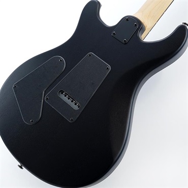 P.R.S. SE Swamp Ash CE 24 Sandblasted Limited Edition (Sandblasted Purple) SN.CTIG034202 【2024年生産品】 画像7