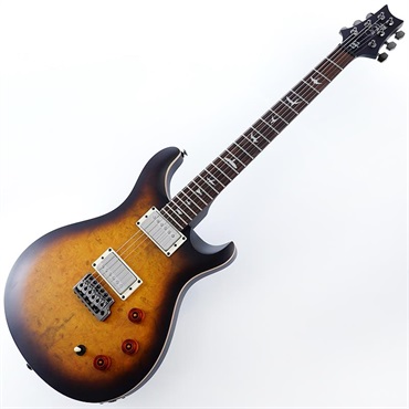 P.R.S. SE DGT Laurel Burl Limited Edition (McCarty Tobacco Burst) SN.CTIG111104 【2024年生産品】 画像1