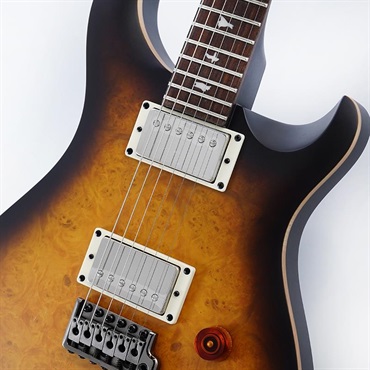 P.R.S. SE DGT Laurel Burl Limited Edition (McCarty Tobacco Burst) SN.CTIG111104 【2024年生産品】 画像3