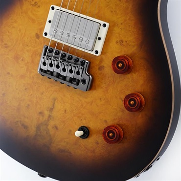 P.R.S. SE DGT Laurel Burl Limited Edition (McCarty Tobacco Burst) SN.CTIG111104 【2024年生産品】 画像4