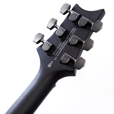 P.R.S. SE DGT Laurel Burl Limited Edition (McCarty Tobacco Burst) SN.CTIG111104 【2024年生産品】 画像9