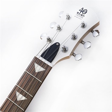 PIGNOSE PGG-JAIL ROCK 画像6
