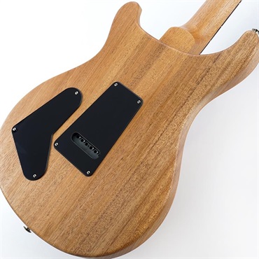 P.R.S. S2 Special Semi-Hollow Reclaimed Limited (Natural)　SN.S2085704 2025年生産品 画像7