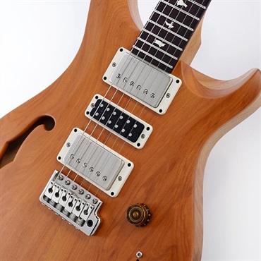 P.R.S. S2 Special Semi-Hollow Reclaimed Limited (Natural)　SN.S2085711 2025年生産品 画像3