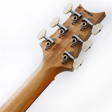 P.R.S. S2 Special Semi-Hollow Reclaimed Limited (Natural)　SN.S2085711 2025年生産品 画像9