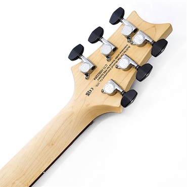 P.R.S. SE CE 24 Standard Stoptail Satin (Metallic Gold)  SN.CTIH062264 【2025年生産品】 画像9