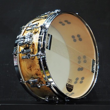 SONOR USED 中古 AS-1406CM [Artist Series Snare Drum / Cotton Wood Maple 14×6/専用セミハードケース付属] 画像4