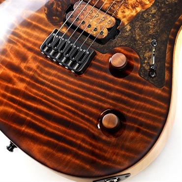 MAYONES Ikebe 50th Anniversary Model Regius Core Guard 6 Redwood Curly Top 画像4