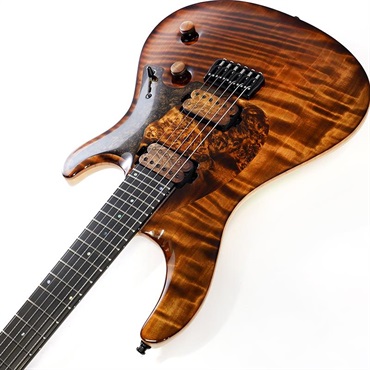 MAYONES Ikebe 50th Anniversary Model Regius Core Guard 6 Redwood Curly Top 画像5