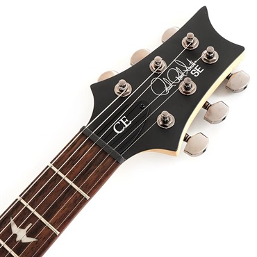 P.R.S. SE Swamp Ash CE 24 Sandblasted Limited Edition (Sandblasted Purple) SN.CTIG033119 【2024年生産モデル】 画像6