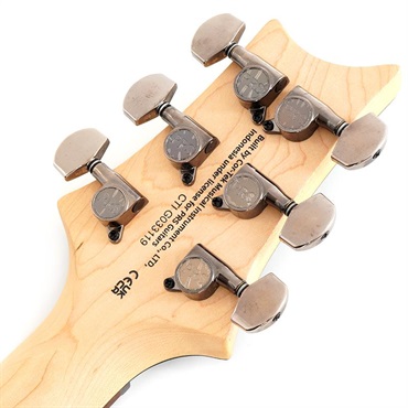 P.R.S. SE Swamp Ash CE 24 Sandblasted Limited Edition (Sandblasted Purple) SN.CTIG033119 【2024年生産モデル】 画像9