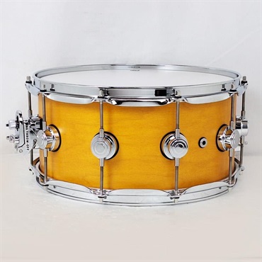 dw DRS006514SSC104 [Collector's Pure Maple Snare Drum Standard Shell 14×6.5 / Amber Satin Oil] 画像1
