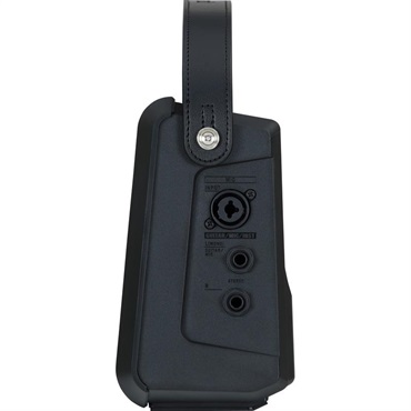 Roland CUBE Street MINI 画像4