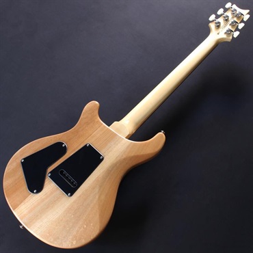 P.R.S. SE Custom 24 (Saphire Fade) #CTI H056223【2025年生産品】 画像5
