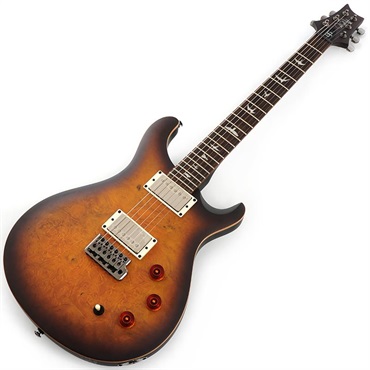 P.R.S. SE DGT Laurel Burl Limited Edition (McCarty Tobacco Burst) SN.CTIG114585 【2024年生産モデル】 画像1
