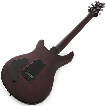 P.R.S. SE DGT Laurel Burl Limited Edition (McCarty Tobacco Burst) SN.CTIG114585 【2024年生産モデル】 画像2