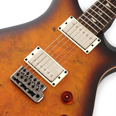 P.R.S. SE DGT Laurel Burl Limited Edition (McCarty Tobacco Burst) SN.CTIG114585 【2024年生産モデル】 画像3