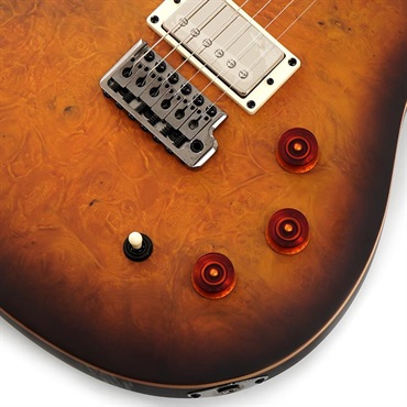 P.R.S. SE DGT Laurel Burl Limited Edition (McCarty Tobacco Burst) SN.CTIG114585 【2024年生産モデル】 画像4