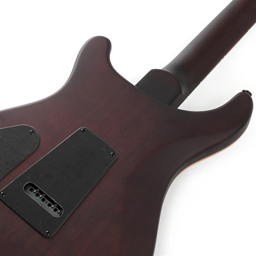 P.R.S. SE DGT Laurel Burl Limited Edition (McCarty Tobacco Burst) SN.CTIG114585 【2024年生産モデル】 画像5