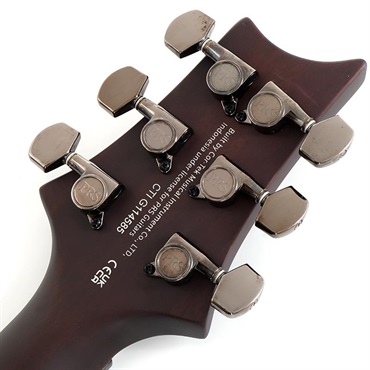 P.R.S. SE DGT Laurel Burl Limited Edition (McCarty Tobacco Burst) SN.CTIG114585 【2024年生産モデル】 画像9