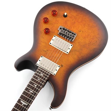 P.R.S. SE DGT Laurel Burl Limited Edition (McCarty Tobacco Burst) SN.CTIG114585 【2024年生産モデル】 画像10