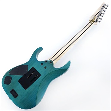 Ibanez 【HAZUKI氏直筆サイン入り！】HZK1 [葉月(HAZUKI) Model] SN.F2528892 【直筆サイン入りポストカードプレゼント！】 画像2