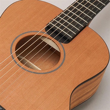 Furch 【4/1より価格改定】LJ10-CM #133833 フォルヒ 画像6