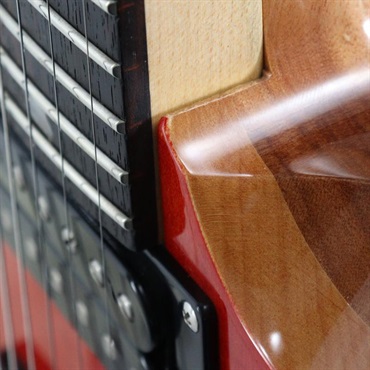 P.R.S. USED 中古 SE CE24 (Blood Orange)[SN.CTI F071160]ポールリードスミス 画像7