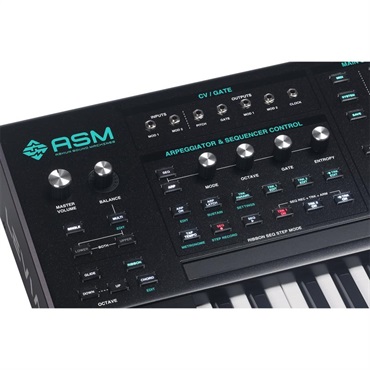 Ashun Sound Machines Leviasynth Keyboard リヴァイアシンセ (キーボード) 61鍵 Polytouch対応 16ボイス・8オシレーター構成ハイブリッド・アルゴリズミック・シンセサイザー 画像5