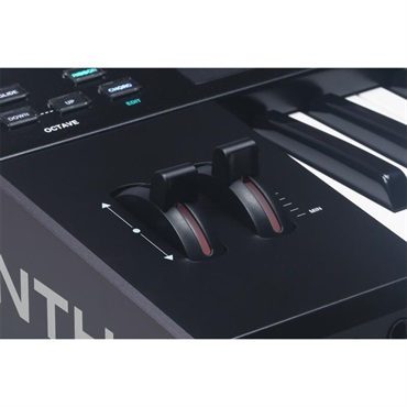 Ashun Sound Machines Leviasynth Keyboard リヴァイアシンセ (キーボード) 61鍵 Polytouch対応 16ボイス・8オシレーター構成ハイブリッド・アルゴリズミック・シンセサイザー 画像9