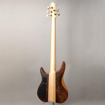 Phoenix GAP-518 Custom Crotch Walnut 画像3