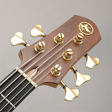 Phoenix GAP-518 Custom Crotch Walnut 画像6