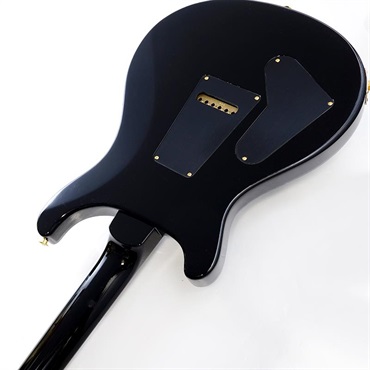 P.R.S. Custom 24 10 Top (Gray Black Stained Binding) SN.0413072 【2025年生産品】 画像6