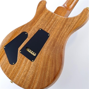 P.R.S. Special Semi-Hollow 10 Top (Aurora Borealis) SN.0414146 【2025年生産品】 画像7
