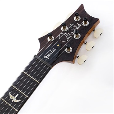 P.R.S. Special Semi-Hollow 10 Top (Aurora Borealis) SN.0414146 【2025年生産品】 画像8