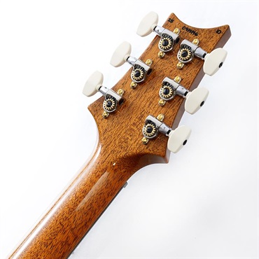 P.R.S. Special Semi-Hollow 10 Top (Aurora Borealis) SN.0414146 【2025年生産品】 画像9
