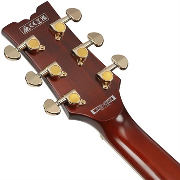 Ibanez AR625FMSP-CML (Caramel Burst Low Gloss) 画像5