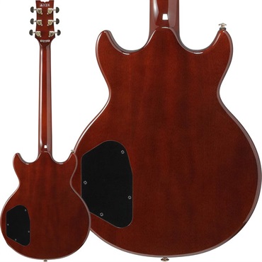 Ibanez AR520HME-NT (Natural) 画像1