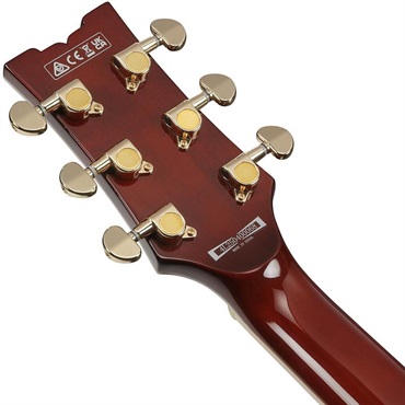 Ibanez AR520HME-NT (Natural) 画像5