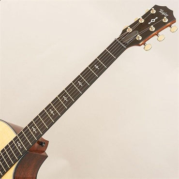 TAYLOR Next Generation 314ce テイラー 画像8