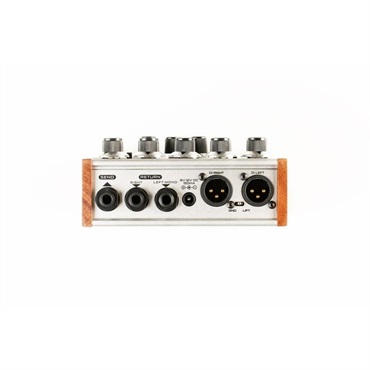 DSM & HUMBOLDT ELECTRONICS DUMBLIFIER 画像2