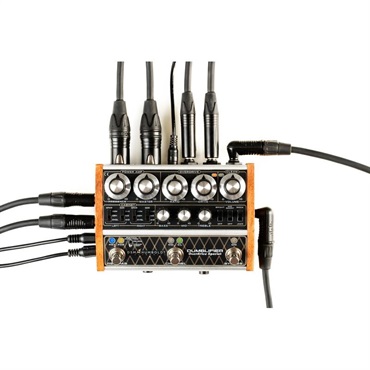 DSM & HUMBOLDT ELECTRONICS DUMBLIFIER 画像5