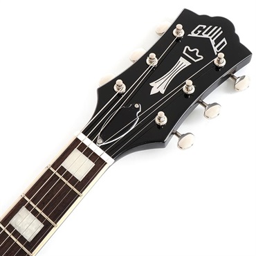 GUILD Polara Deluxe (Canyon Dusk) 画像6