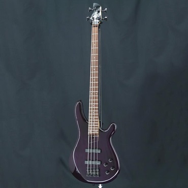 FERNANDES ／ Burny USED 中古 Gravity 4 画像2