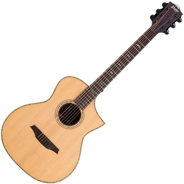Bromo Guitars BAR5CE ブロモ 画像1