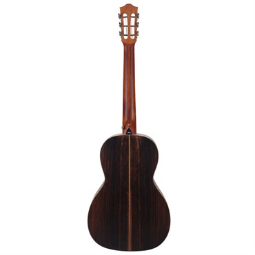 Bromo Guitars BAR6E ブロモ 画像2